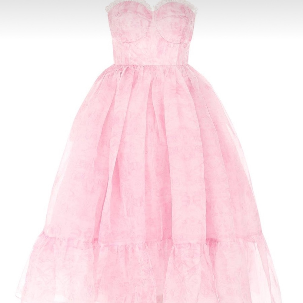 Selkie The Pink Porcelain French Corset Dress